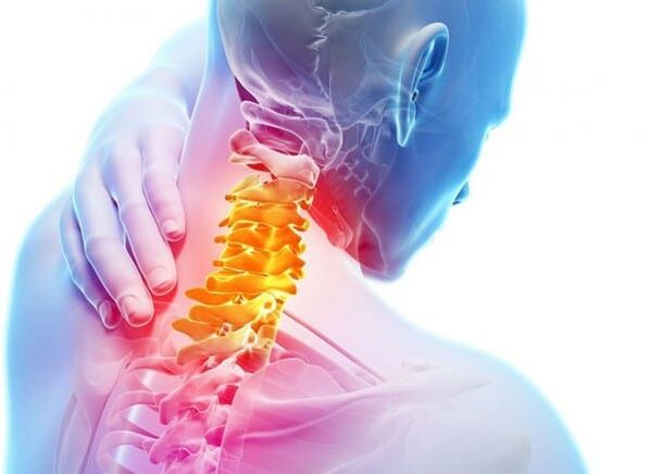Osteocartilage of the cervical vertebra