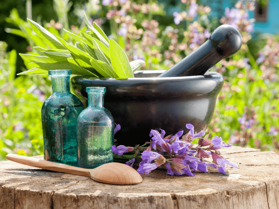 Herbal remedies for osteochondrosis